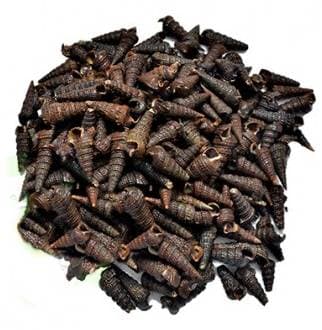 Prunes